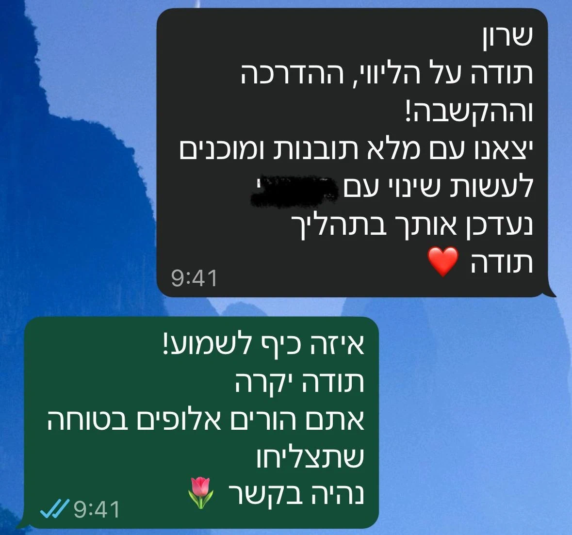 ביקורת שרון הייטנר מדריכת הורים