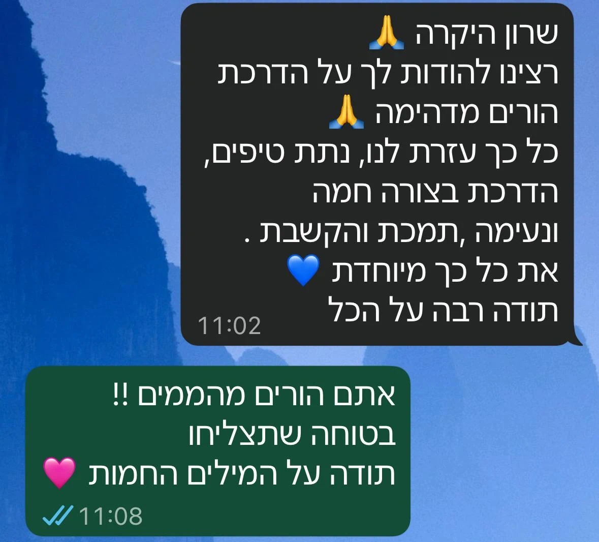 חוות דעת שרון הייטנר מדריכת הורים